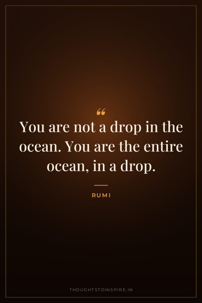 You are not a drop in the ocean. You are the entire ocean, in a drop.