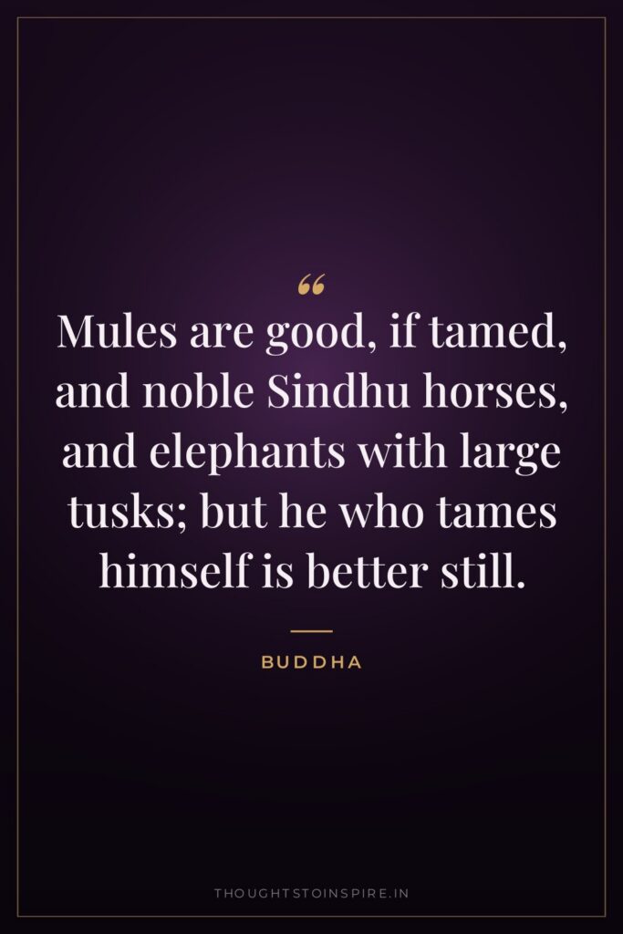 Mules are good, if tamed, and noble Sindhu horses, and… — Buddha