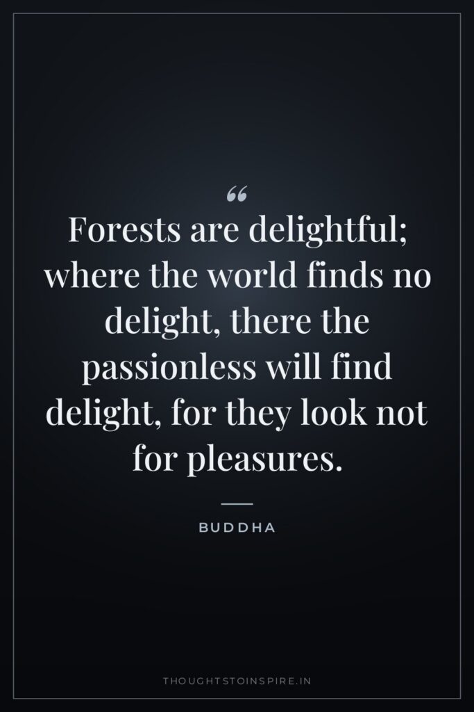 Forests are delightful; where the world finds no delight, there… — Buddha