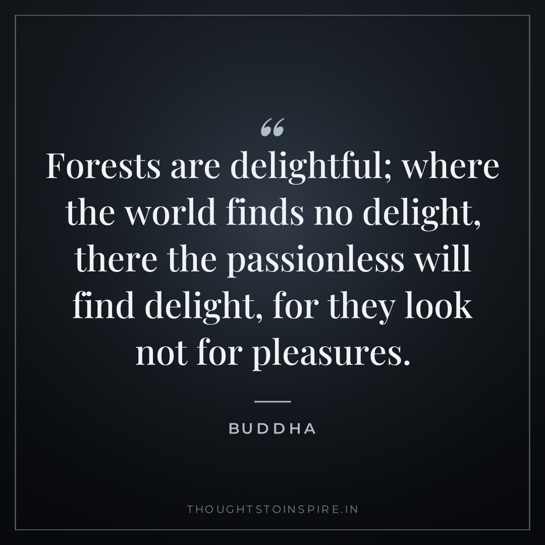 Forests are delightful; where the world finds no delight, there the passionless will find delight, for they look not for pleasures. — Buddha